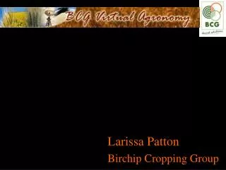 Larissa Patton Birchip Cropping Group
