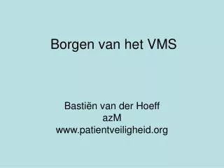 borgen van het vms