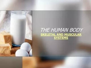 THE HUMAN BODY