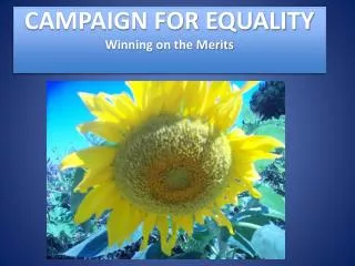 CAMPAIGN FOR EQUALITY Winning on the Merits
