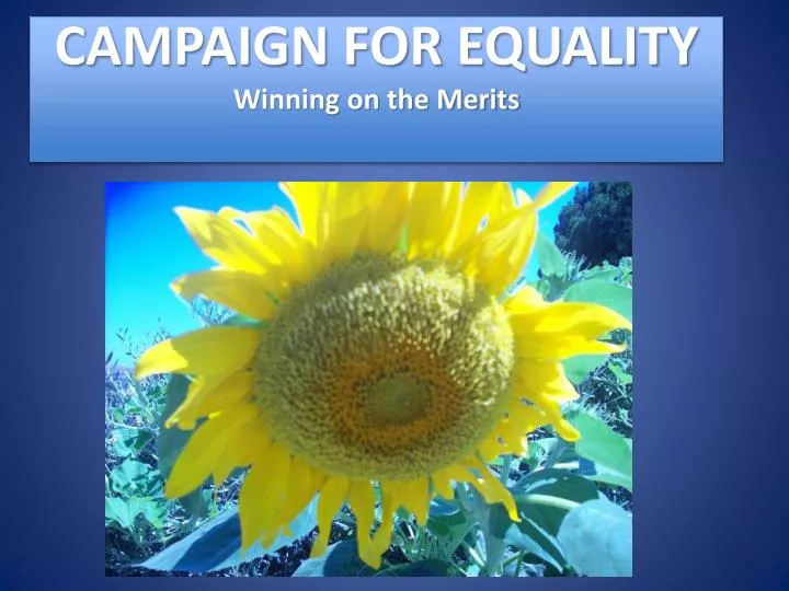 campaign for equality winning on the merits