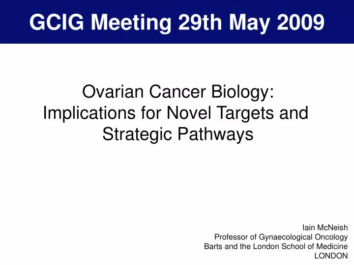 gcig meeting 29th may 2009