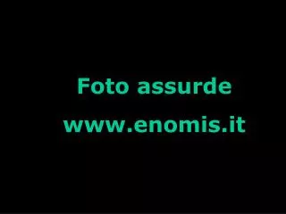 Foto assurde enomis.it