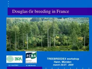 Douglas-fir breeding in France