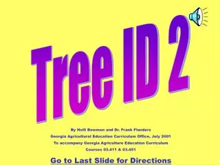 Tree ID 2