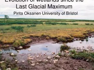 Evolution of wetlands since the Last Glacial Maximum