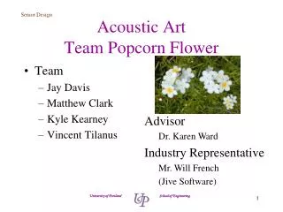 Acoustic Art Team Popcorn Flower