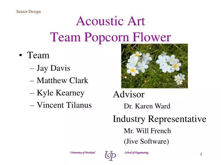 acoustic art team popcorn flower