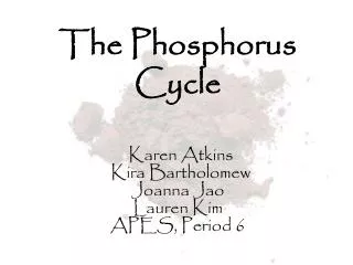 The Phosphorus Cycle