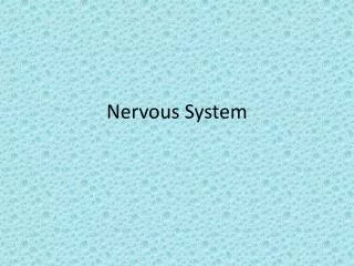 Nervous System