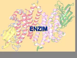 enzim