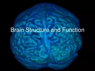 Brain Structure and Function