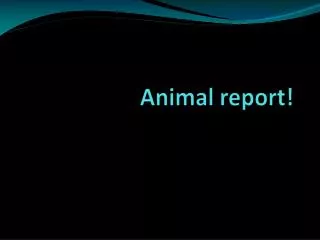 Animal report!