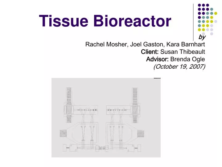 tissue bioreactor