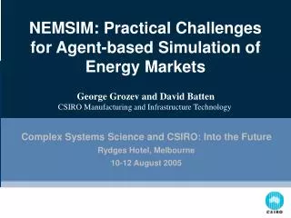 NEMSIM: Practical Challenges for Agent-based Simulation of Energy Markets