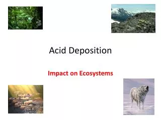 Acid Deposition