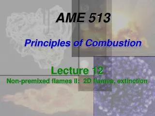 AME 513 Principles of Combustion