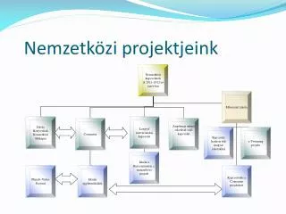 nemzetk zi projektjeink