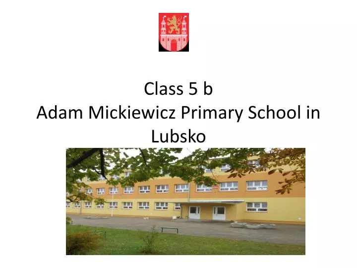 class 5 b adam mickiewicz primary school in lubsko