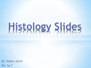 Histology Slides