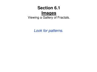 Section 6.1 Images Viewing a Gallery of Fractals.