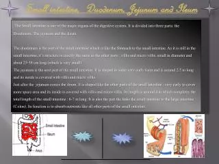 Small intestine, Duodenum, Jejunum and Ileum