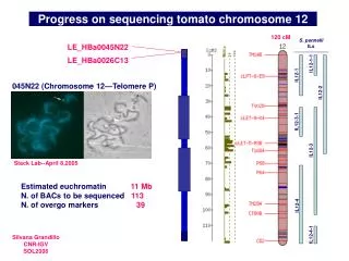 Progress on sequencing tomato chromosome 12