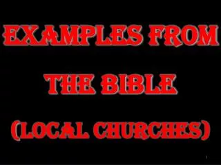 Examples from the Bible ( Local Churches )