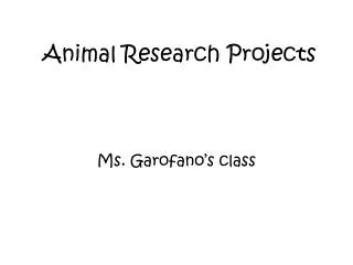Animal Research Projects