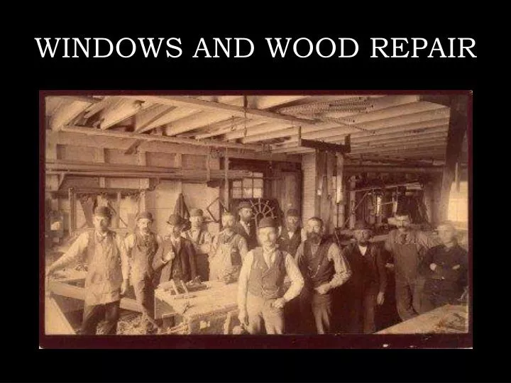 windows and wood repair