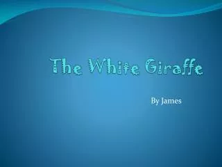 the white giraffe