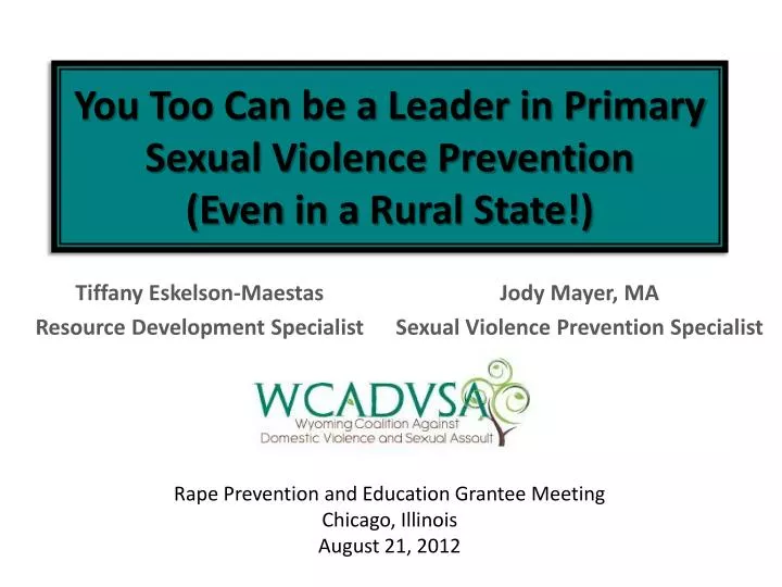 you too can be a leader in primary sexual violence prevention even in a rural state