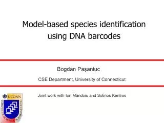 Model-based species identification using DNA barcodes