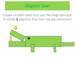 Alligator Jaws