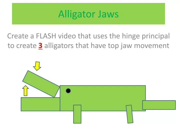 alligator jaws