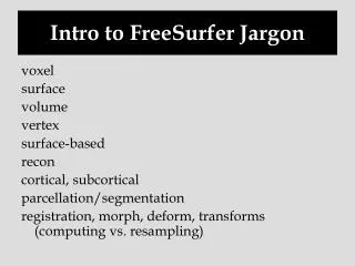 Intro to FreeSurfer Jargon