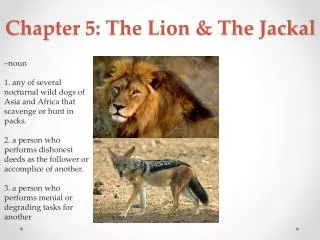 Chapter 5: The Lion &amp; The Jackal