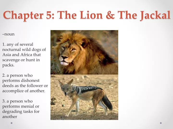 chapter 5 the lion the jackal