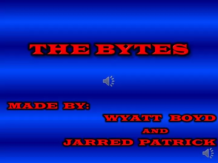 the bytes