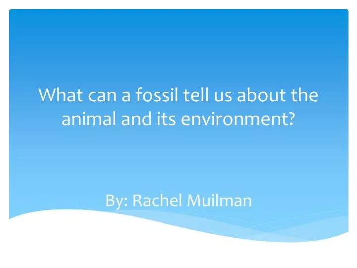what can a fossil tell us about the animal and its environment