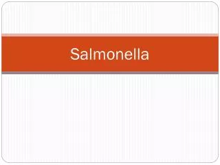 Salmonella