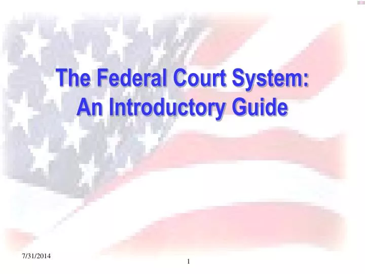 the federal court system an introductory guide