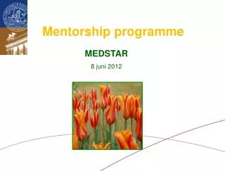 Mentorship programme