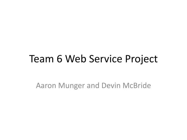 team 6 web service project