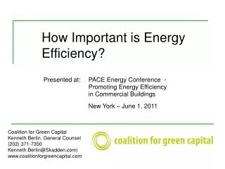 How Important is Energy 	Efficiency?