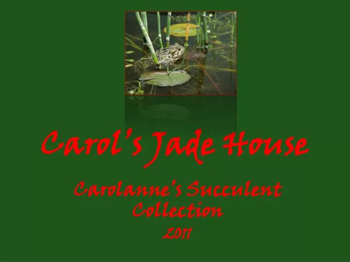 carol s jade house