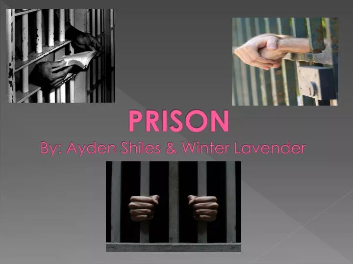prison by ayden shiles winter lavender