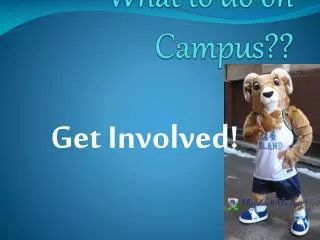 What to do on Campus??