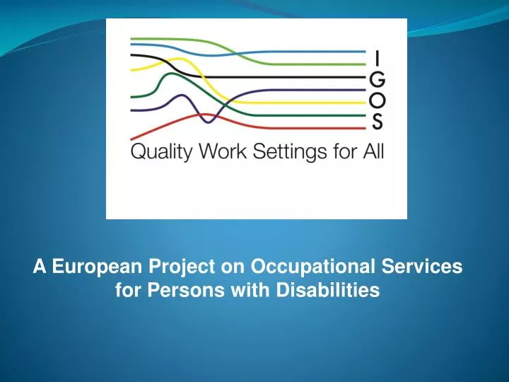 a european project on occupational services for persons with disabilities