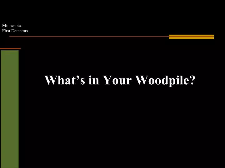what s in your woodpile